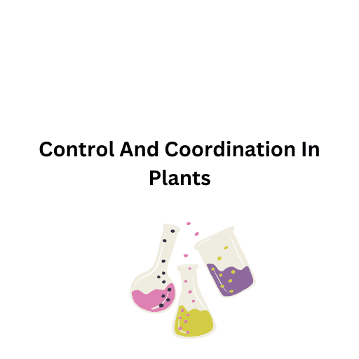 Control And Coordination In Plants